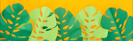 top view of paper cut green tropical leaves on yellow bright background, panoramic shotの写真素材