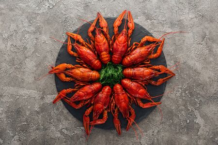 top view of black plate with red lobsters and green herbs on grey textured surfaceの写真素材