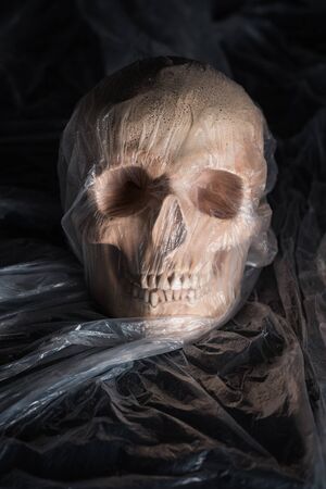 spooky skull in cellophane on black background, Halloween decorationの写真素材
