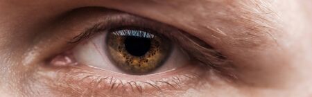 close up view of human brown eye looking at camera, panoramic shot