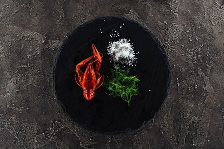 top view of black plate with red lobsters, white salt and green herbs on grey textured surfaceの写真素材