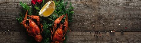panoramic shot of red lobsters, lemon slices and dill on wooden surfaceの写真素材