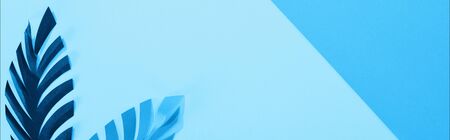 panoramic shot of paper leaves on blue minimalistic background with copy spaceの写真素材
