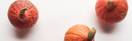 top view of whole ripe pumpkins on white background, panoramic shot