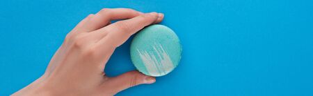 cropped view of woman holding delicious French macaroon on blue bright background, panoramic shot