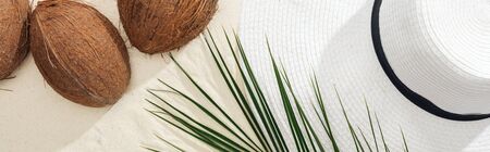 top view of palm leaf, coconuts and white straw hat on sand, panoramic shotの写真素材