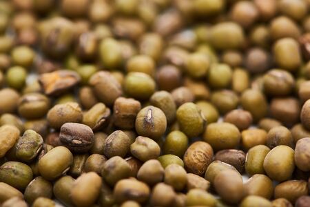 close up view of raw green moong beansの写真素材
