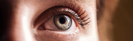 close up view of human grey eye looking away, panoramic shot