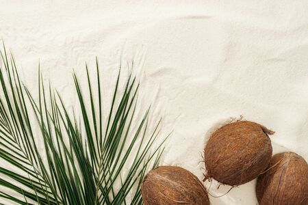 top view of whole coconuts and green palm leaves on golden sandの写真素材