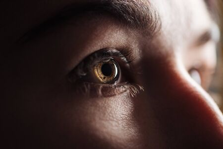 close up view of adult woman eye with eyelashes and eyebrow looking away in darkの写真素材