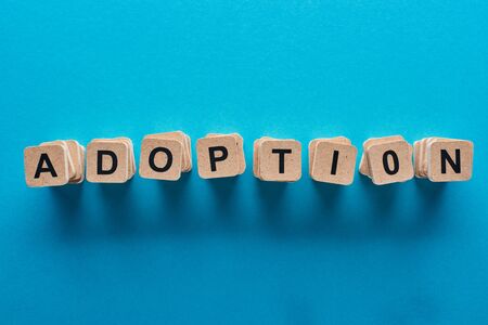 top view of wooden blocks with adoption word on blue background