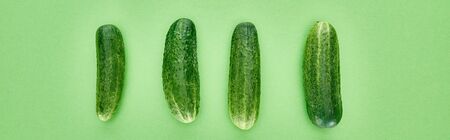 panoramic shot of whole and ripe cucumbers on green backgroundの写真素材