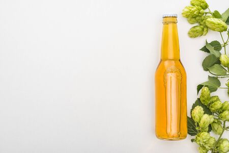 top view of beer in bottle with green hop on white background with copy spaceの写真素材