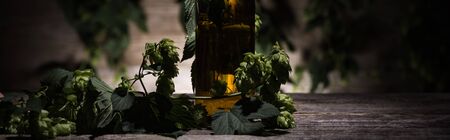 beer in bottle with green hop on wooden table in darkness with back light, panoramic shot