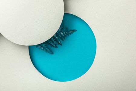 blue fern leaf in round geometric hole on white paper