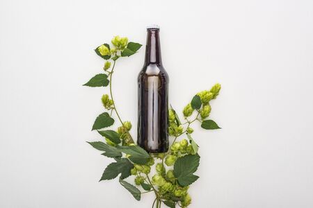 top view of beer in bottle with green hop on white backgroundの写真素材