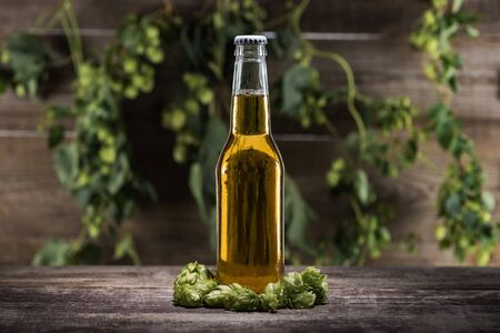 beer in bottle with fresh green hop on wooden table in darkness with back lightの写真素材
