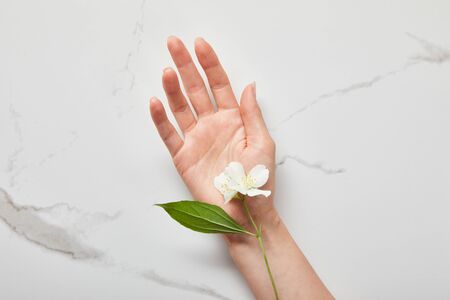 cropped view of woman hand with jasmine on white surfaceの写真素材