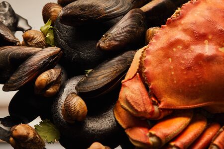 close up view of uncooked crab, cockles and mussels with greenery on stones on water isolated on blackの写真素材