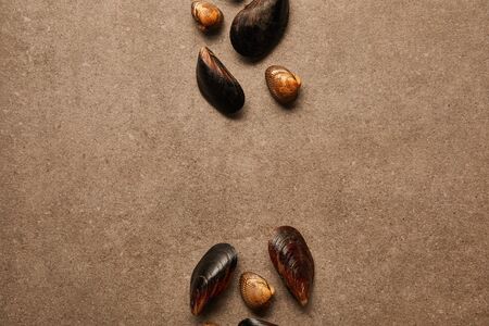 flat lay with cockles and mussels on textured surface