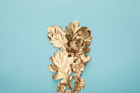 top view of autumnal golden foliage on blue backgroundの写真素材