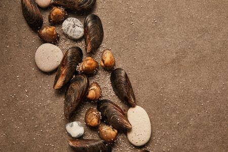 top view of cockles and mussels with sand and stones on textured surface