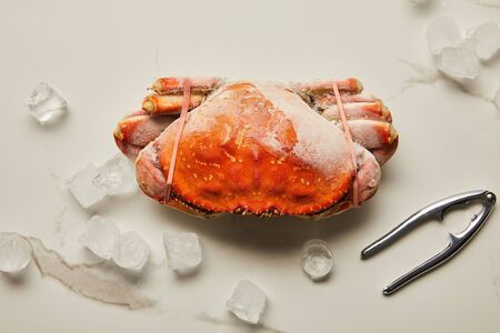 top view of frozen raw crab near seafood cracker and scattered ice cubes on marble surfaceの写真素材