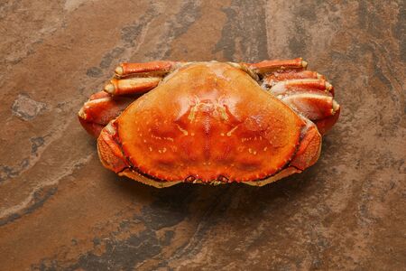 top view of  frozen raw crab with solid shell on textured surfaceの写真素材