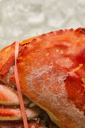 close up view of frozen raw tied up crab with solid shell on ice cubes on whiteの写真素材