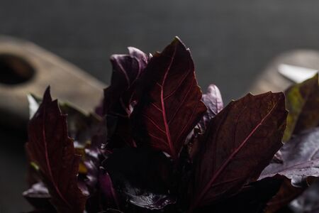 Close up view of fresh purple basil leaves near brown wooden cutting board on dark backgroundの写真素材