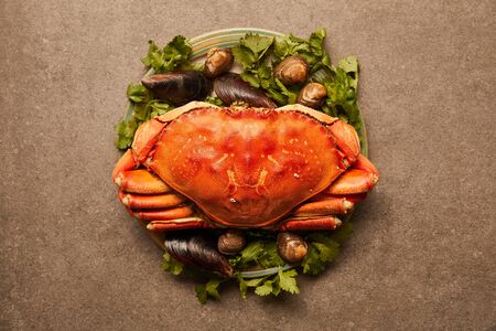 top view of plate with greenery, raw crab, cockles and mussels on textured surfaceの写真素材