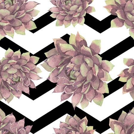 Succulent floral botanical flower. Wild spring leaf wildflower.  illustration set. Watercolour drawing fashion aquarelle. Seamless background pattern. Fabric wallpaper print texture.の写真素材
