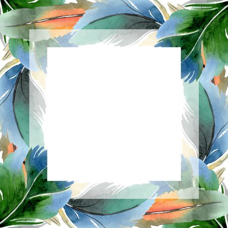 Colorful bird feather from wing isolated.  background illustration set. Watercolour drawing fashion aquarelle isolated. Frame border ornament square.の写真素材