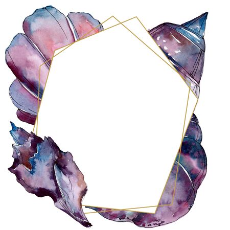 Summer beach seashell tropical elements.  background illustration set. Watercolour drawing fashion aquarelle isolated. Frame border crystal ornament square.の写真素材
