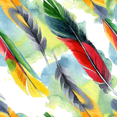 Colorful bird feather from wing isolated.  background illustration set. Watercolour drawing fashion aquarelle isolated. Seamless background pattern. Fabric wallpaper print texture.の写真素材