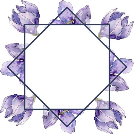 Camelia floral botanical flowers. Wild spring leaf wildflower isolated.  background illustration set. Watercolour drawing fashion aquarelle isolated. Frame border ornament square.の写真素材