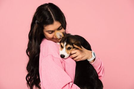 beautiful young woman holding cute Corgi puppy, isolated on pinkの写真素材