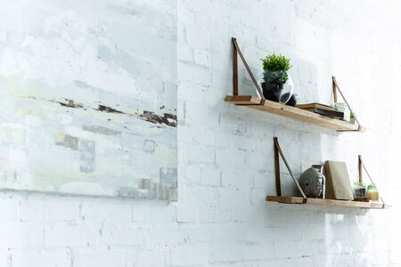 brick wall with picture and wooden shelves with plant and books