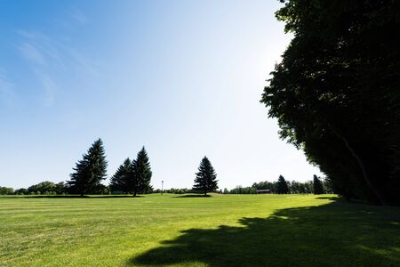 shadows on green grass near trees against sky in parkの写真素材
