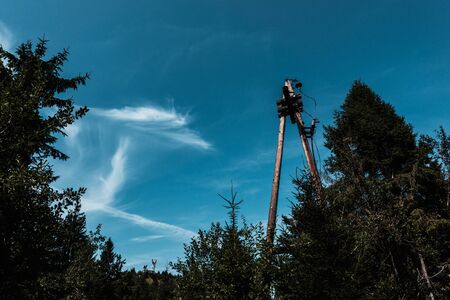 low angle view of trees against blue sky with clouds in parkの写真素材