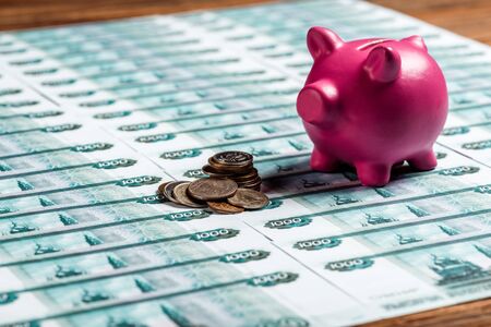 selective focus of pink piggy bank near metallic coins on russian money