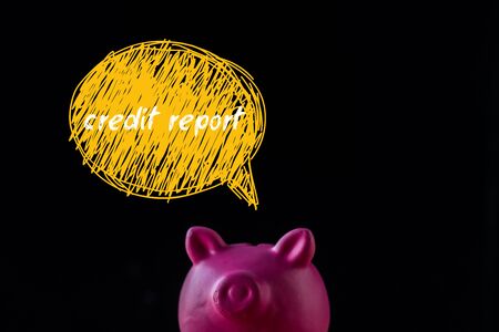 pink piggy bank near speech bubble with credit report lettering on blackの写真素材