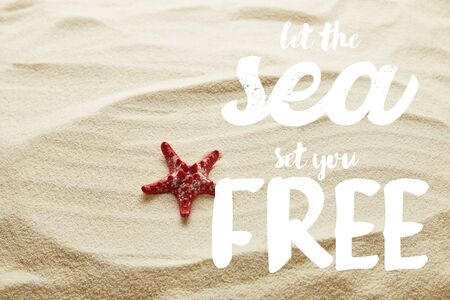 red starfish on sand with let the sea set you free letteringの写真素材