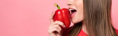 panoramic shot of young woman eating red bell pepper isolated on pinkの写真素材