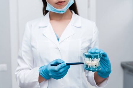 cropped view of dentist in medical mask holding pen near teeth model