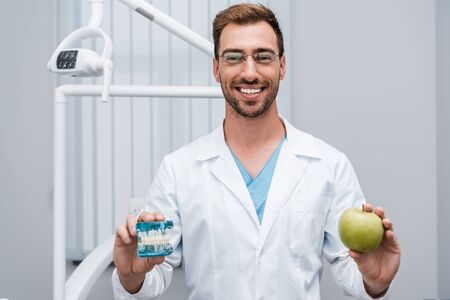 cheerful dentist in glasses holding tooth model and green apple in clinicの写真素材