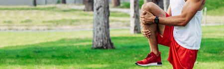 panoramic shot of sportsman in sportswear exercising in park