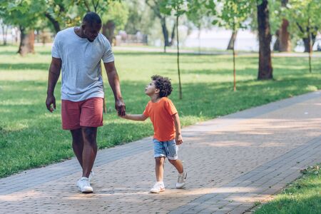 happy african american father and son holding hands and looking at each other while walking in parkの写真素材