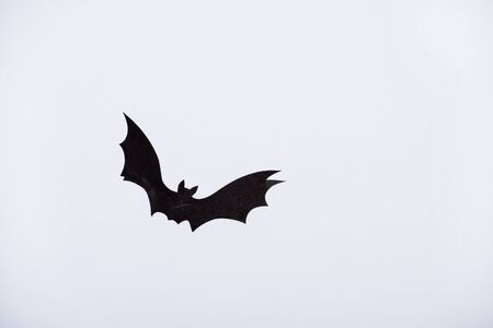 black paper bat on white backgroundの写真素材
