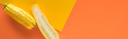 top view of yellow zucchini on orange and yellow background, panoramic shotの写真素材